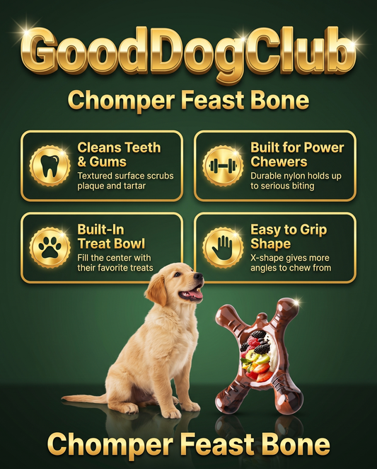 GoodDogClub Chomper Feast Bone gold infographic with benefits