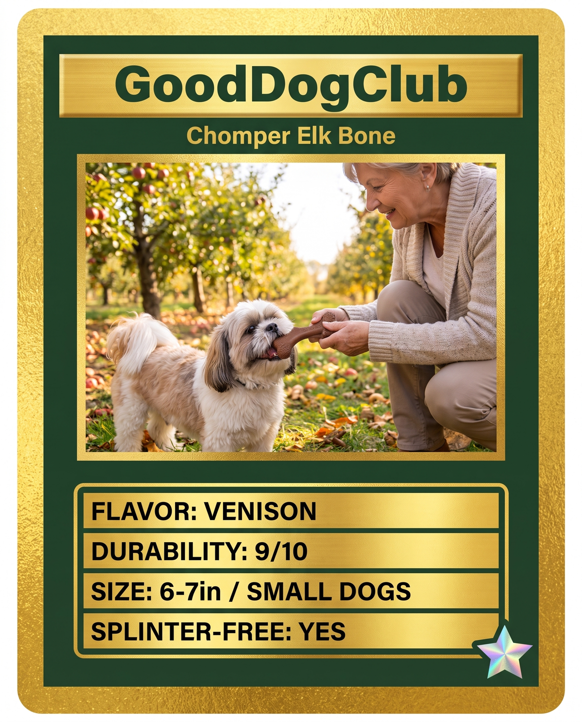 Chomper Elk Bone trading card ad, Shih Tzu orchard
