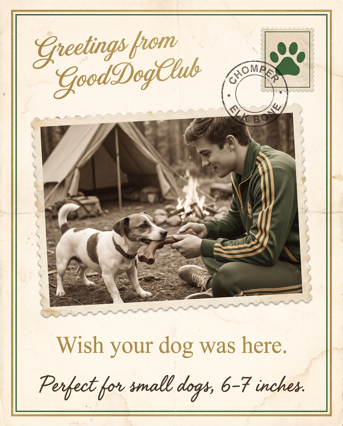 Chomper Elk Bone vintage postcard ad, Jack Russell Terrier campsite