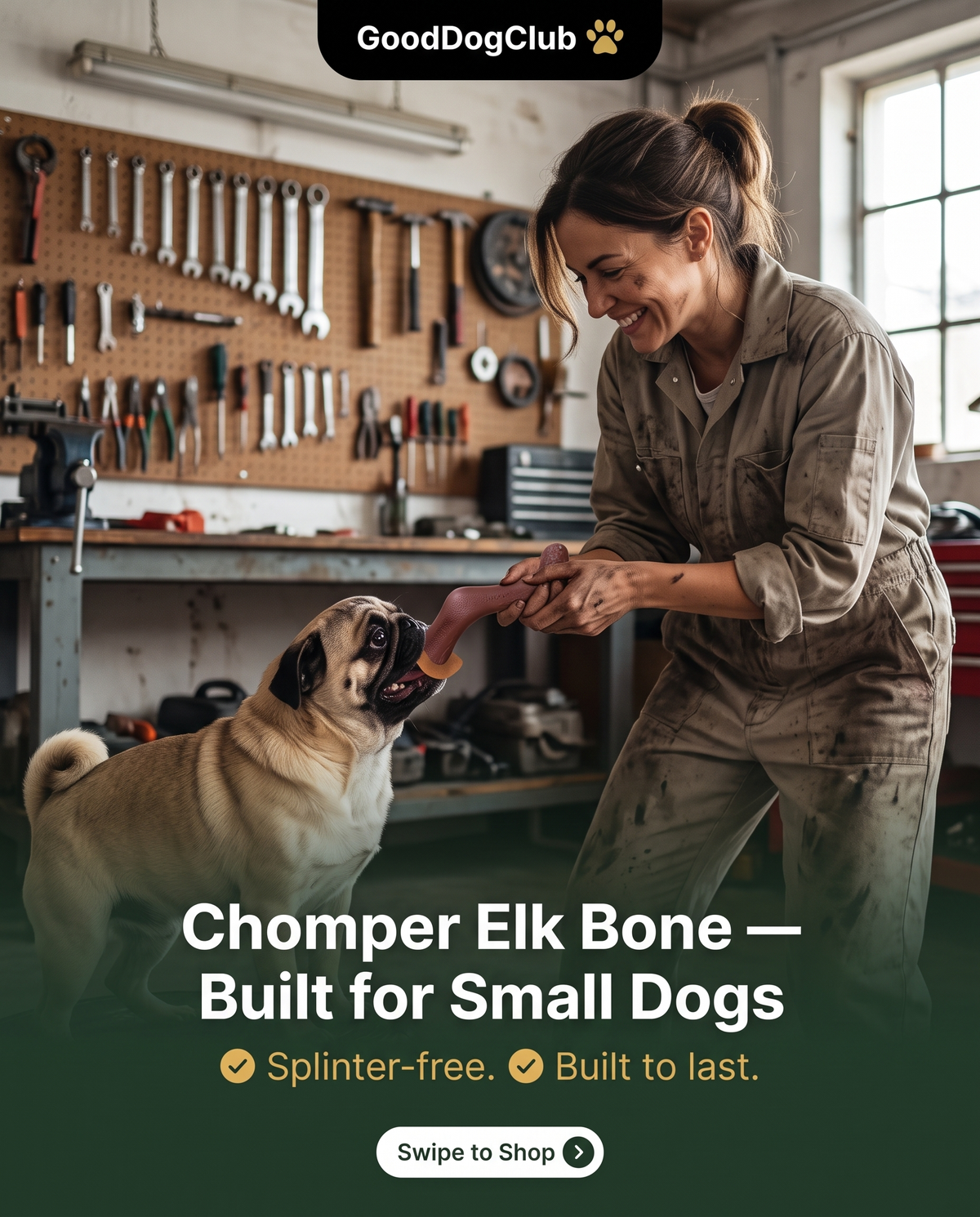 Chomper Elk Bone Instagram story ad, Pug garage