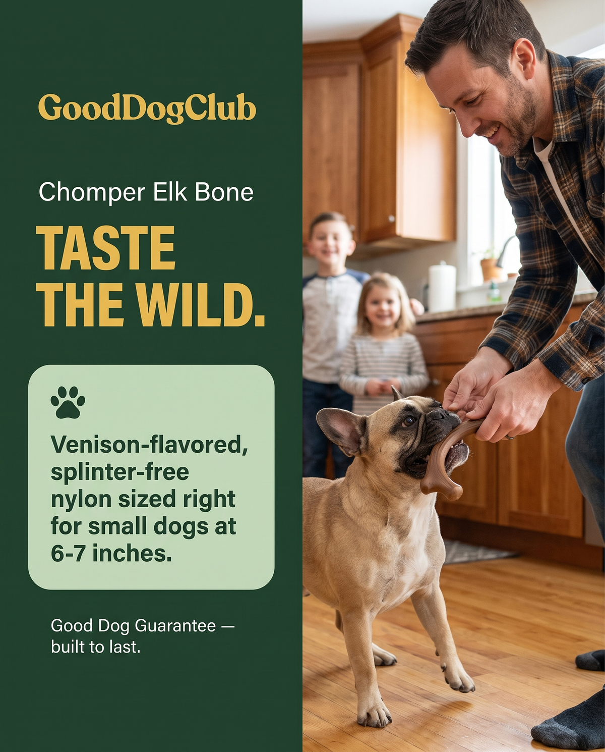 Chomper Elk Bone two-tone panel ad, French Bulldog kitchen