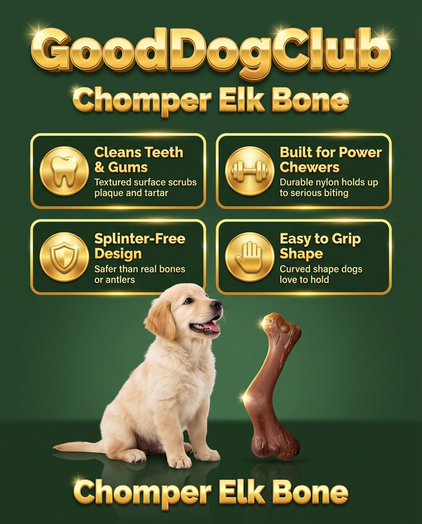 GoodDogClub Chomper Elk Bone gold infographic with benefits