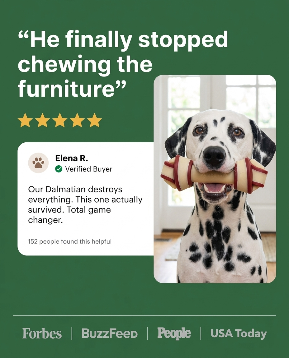Dalmatian holding Chomper Knot Bone in entryway
